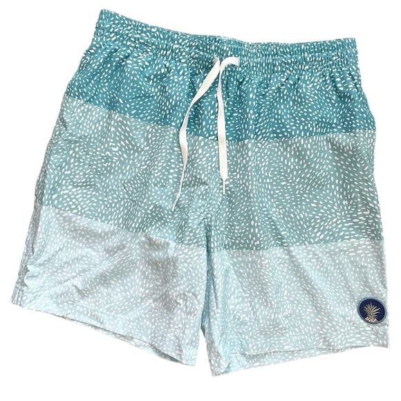 Chubbies Other - NWOT Chubbies The Whale Sharks Classic Swim Trunks 7” Blue Size Medium